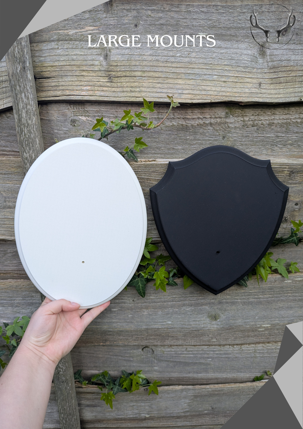 Oval Wall Mount