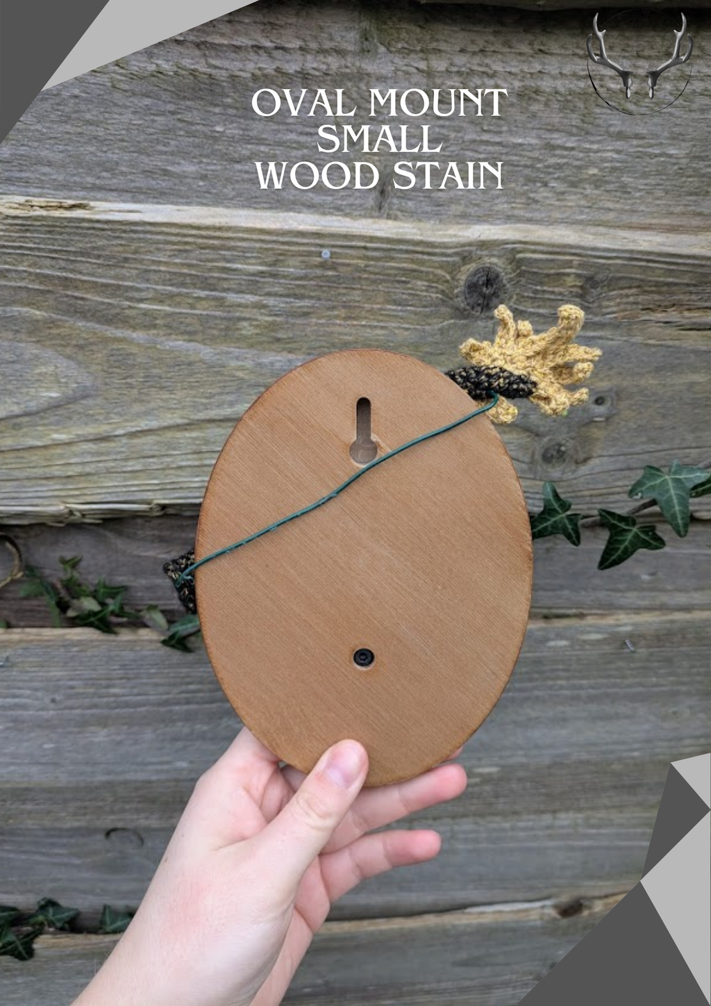 Oval Wall Mount