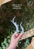 Forest Dweller - Safety Horns