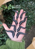 Mystery Pack - Safety Horns